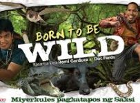 Born To Be Wild August 11 2024