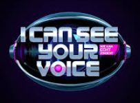 I Can See Your Voice July 14 2024